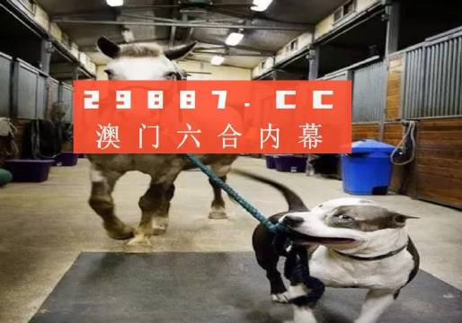 澳門一肖一碼一必中一肖，同舟前進的奧秘與策略，澳門一肖一碼必中策略與前進奧秘，同舟共濟的揭秘與策略