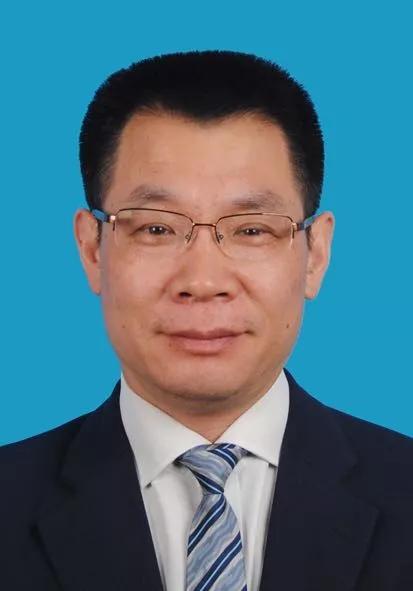 2024新奧正版資料免費(fèi)獲取指南，2024新奧正版資料免費(fèi)獲取攻略