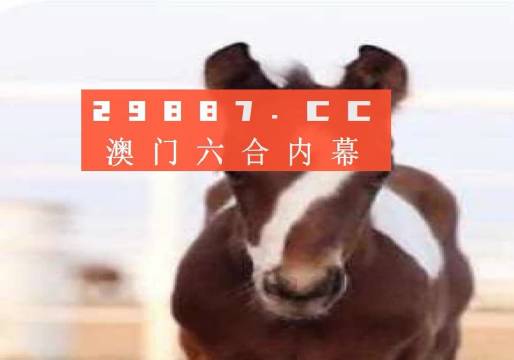 澳門(mén)一肖一碼狀元紅，揭秘彩票背后的秘密與策略，澳門(mén)彩票揭秘，狀元紅背后的秘密與策略解析