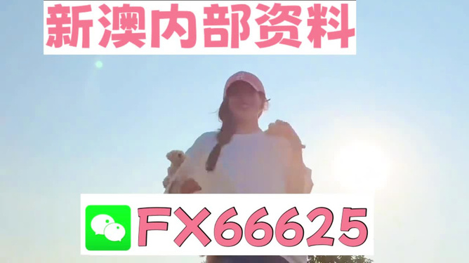 揭秘彩票奧秘，探索精準一肖特77777與88888的奧秘，揭秘彩票神秘面紗，探尋精準生肖特碼77777與88888奧秘