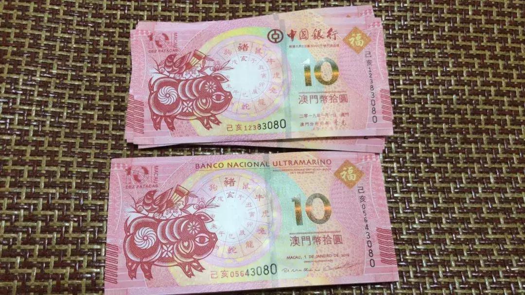 新澳門生肖走勢圖，深度解析與預(yù)測，澳門生肖走勢圖深度解析及預(yù)測報(bào)告