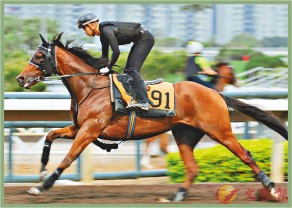 香港賽馬，探索數(shù)字背后的激情與榮耀，香港賽馬，數(shù)字背后的激情與榮耀之旅