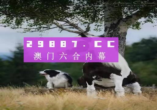 澳門天天空彩官網(wǎng)資料，探索彩票世界的門戶，澳門天天空彩官網(wǎng)資料，彩票世界探索門戶