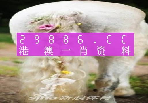 澳門羊了個(gè)羊與各大圖庫(kù)的資料揭秘，2023年澳門今晚必中一肖一碼永久免費(fèi)資料庫(kù)大解密，澳門羊了個(gè)羊與資料庫(kù)揭秘，2023年必中一肖一碼永久免費(fèi)資料大解密