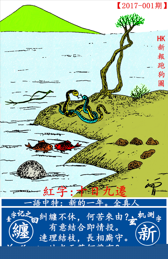 探索全新版跑狗圖，7777788888的魅力與策略，探索全新版跑狗圖，7777788888的魅力與攻略解析