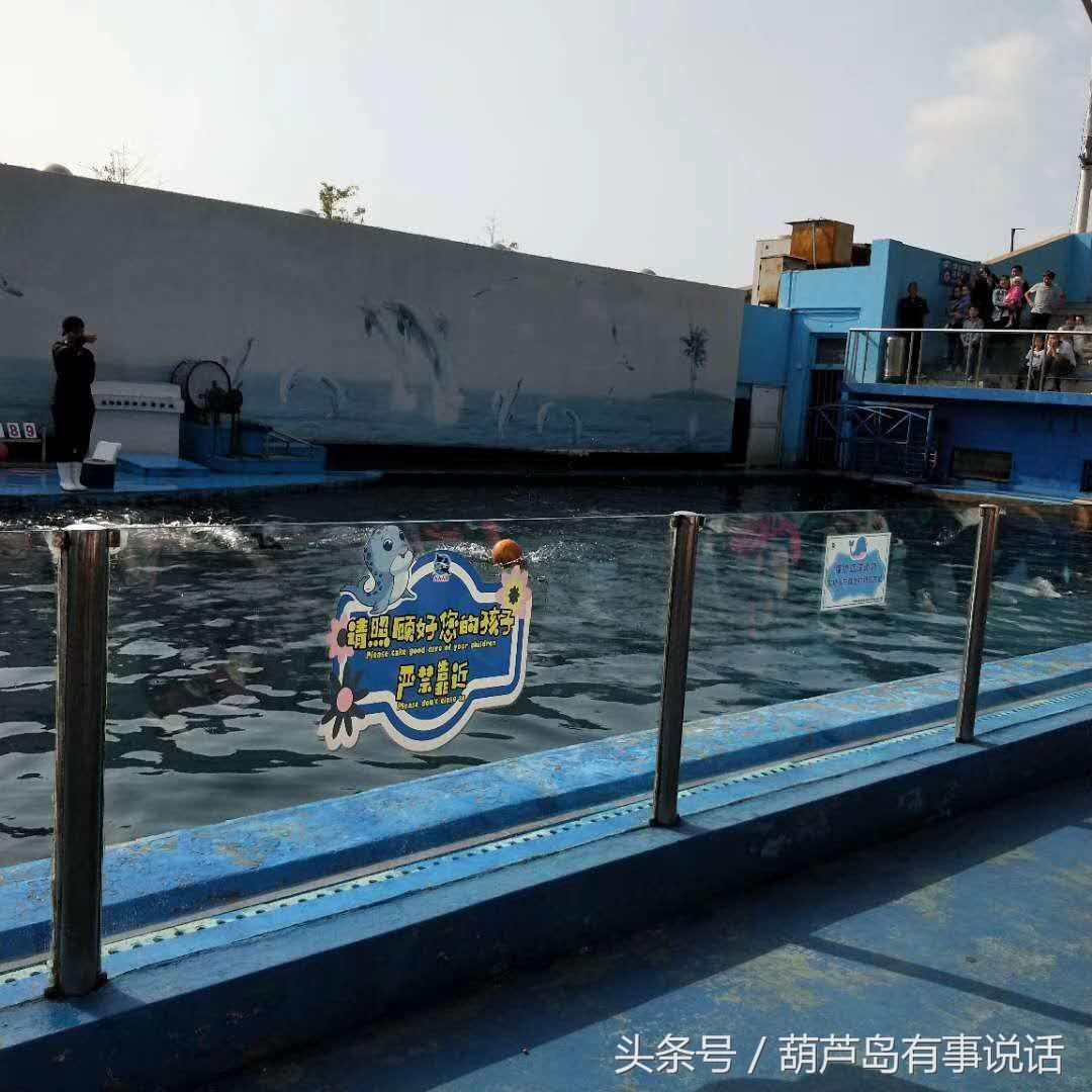 揭秘9點30分彩新澳，全方位解讀彩票新玩法，揭秘9點30分彩新澳，全方位解讀彩票新玩法攻略