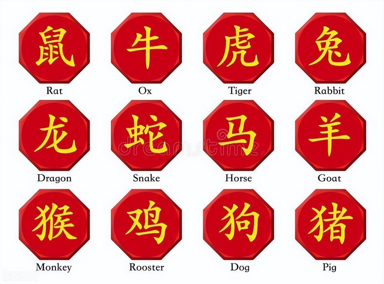 新澳特碼，羊?；⒏鲾?shù)10——揭秘背后的數(shù)字奧秘，揭秘新澳特碼數(shù)字奧秘，羊?；⒏鲾?shù)背后的秘密