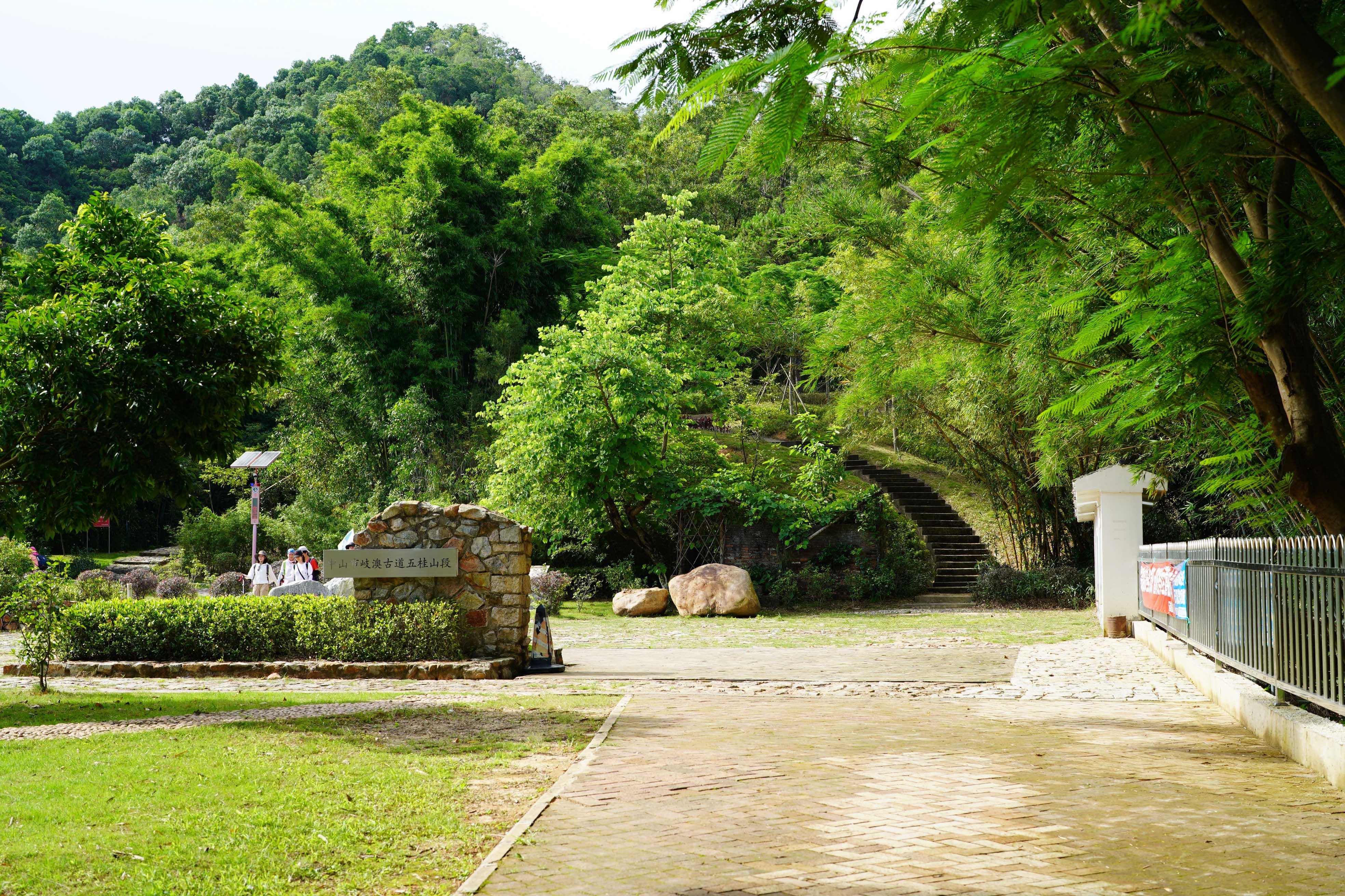 新澳門彩生肖走勢(shì)圖，探索與解讀彩票背后的秘密，探索解讀新澳門彩生肖走勢(shì)圖，彩票背后的秘密揭秘