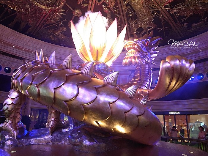 澳門無錯(cuò)七尾，探索與解析，澳門無錯(cuò)七尾，深度探索與解析