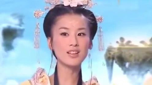 曾道道人資料免費大全，深度探索與解析，曾道道人資料深度解析與免費大全探索