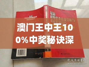 新澳門王中王期期中，探索與解析，新澳門王中王期期中，深度探索與解析