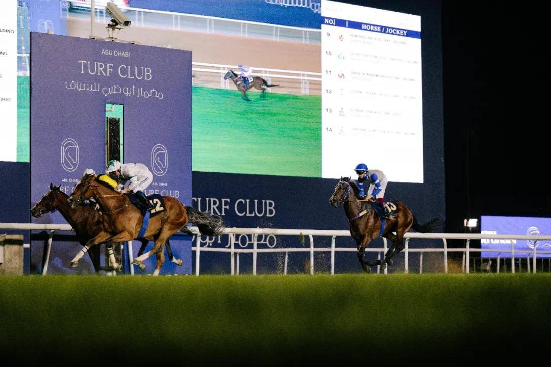 澳門特馬今晚開獎一，探索彩票背后的秘密與期待，澳門特馬今晚開獎，揭秘彩票背后的秘密與期待大獎的激動心情