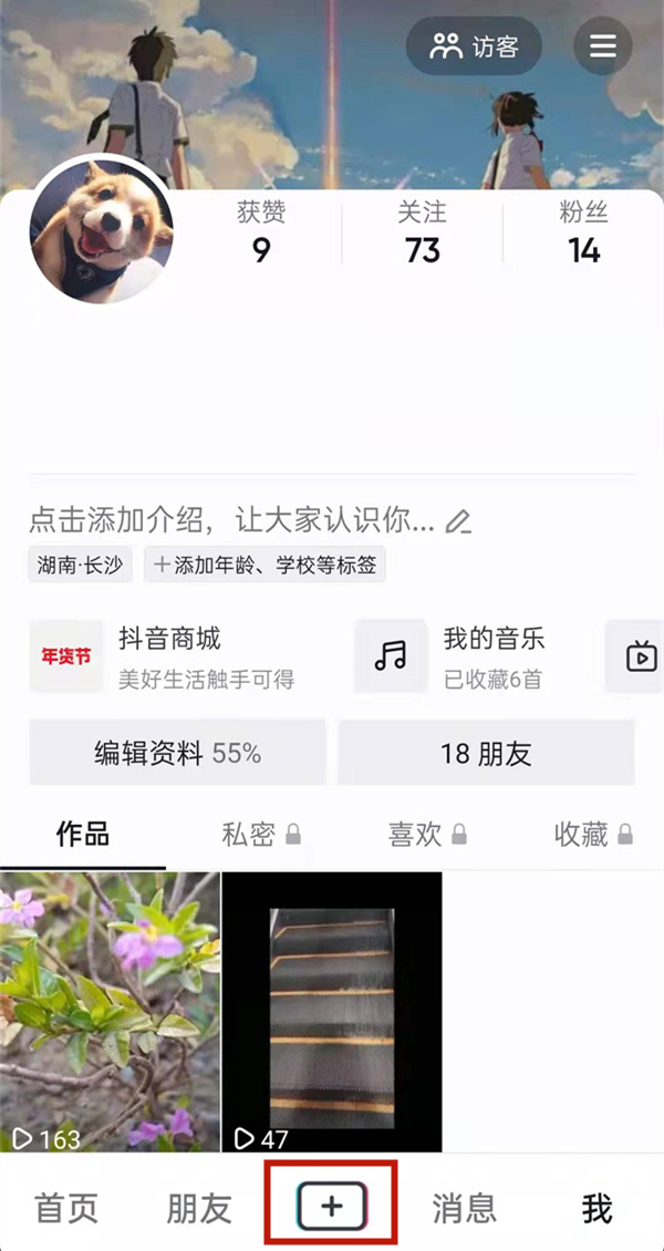 白小姐的精準免費四肖，揭秘背后的秘密，揭秘白小姐精準免費四肖背后的秘密