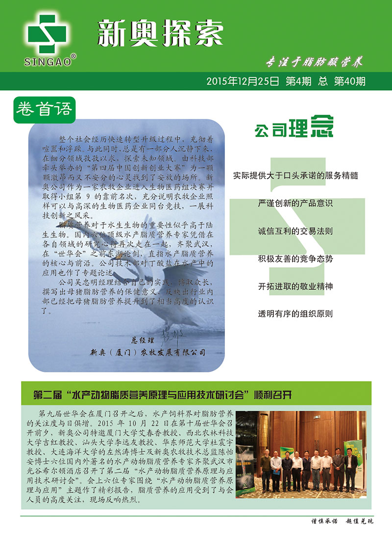 2025新澳正版資料查詢指南，2025新澳正版資料查詢手冊(cè)