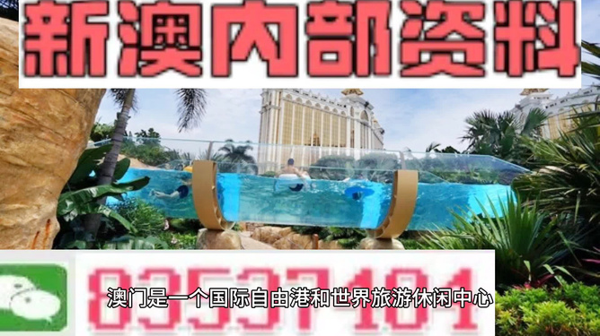 新澳的資料去哪里找——全面指南，新澳資料全攻略，尋找資料的途徑與指南