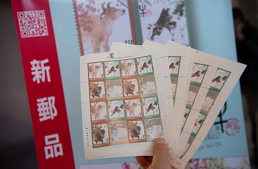 澳門(mén)值日生肖600圖庫(kù)與八百圖庫(kù)開(kāi)獎(jiǎng)，探索生肖圖庫(kù)的魅力與奧秘，澳門(mén)生肖圖庫(kù)開(kāi)獎(jiǎng)揭秘，探索值日生肖600圖庫(kù)與八百圖庫(kù)的魅力與奧秘