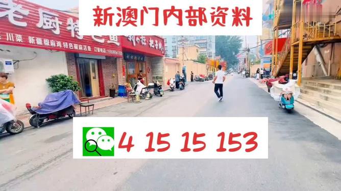 探索未來，新澳門天天開好彩的2025展望，未來展望，新澳門2025年天天彩彩紛呈的探索之路