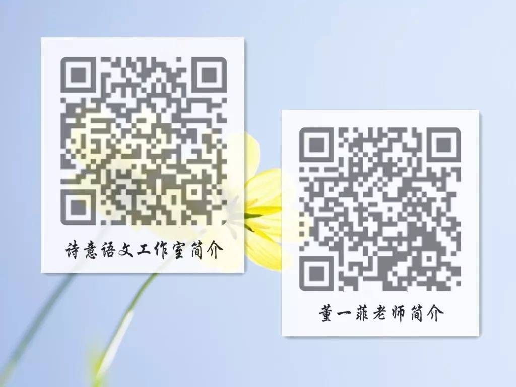 一碼一肖一特一，揭秘背后的秘密與獨(dú)特之處，揭秘一碼一肖一特一的獨(dú)特之處與背后秘密