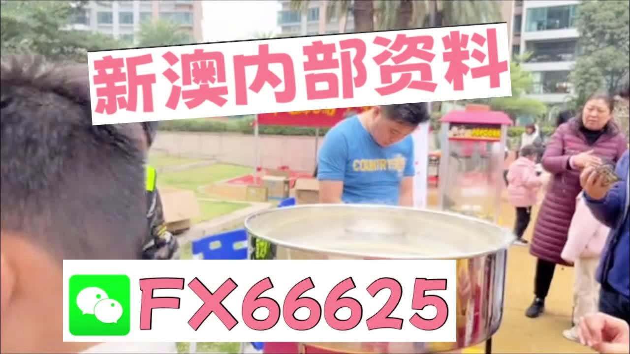 新澳2025芳草地資料大全，深度解析與前瞻性展望，新澳2025芳草地，資料深度解析與前瞻性展望
