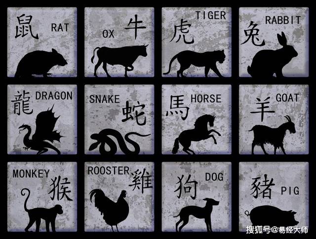 新澳特碼，羊?；⒏鲾?shù)10的獨特魅力與解析，新澳特碼，羊?；⒏鲾?shù)10的獨特魅力深度解析