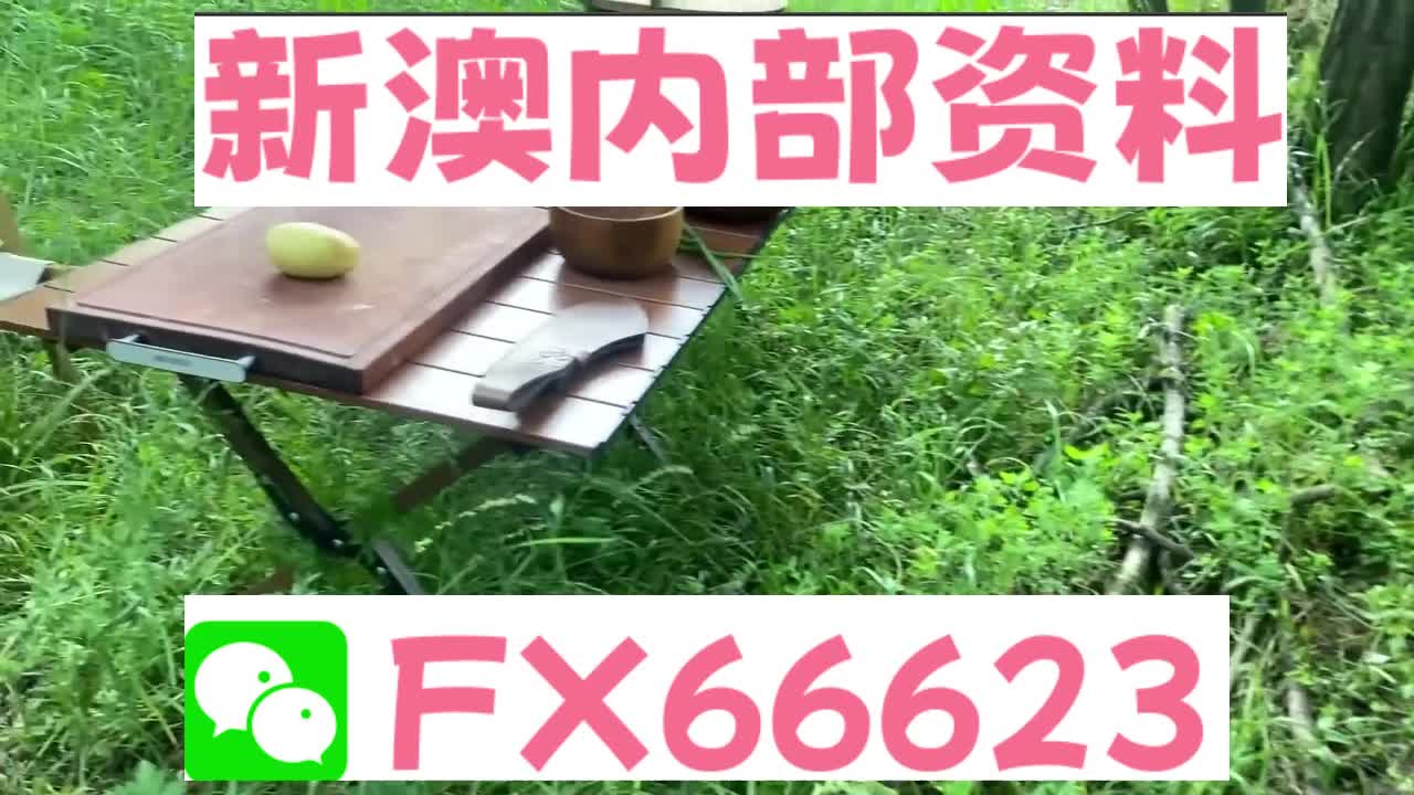 新奧特碼走勢圖解析與預測，新奧特碼走勢圖解析與預測，未來趨勢探討