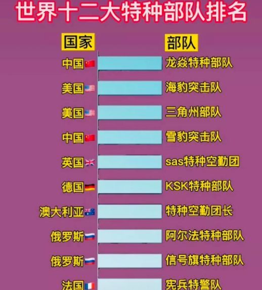 中國(guó)十大王牌特種部隊(duì)，實(shí)力與榮耀的象征，中國(guó)十大王牌特種部隊(duì)，實(shí)力與榮耀的巔峰標(biāo)志
