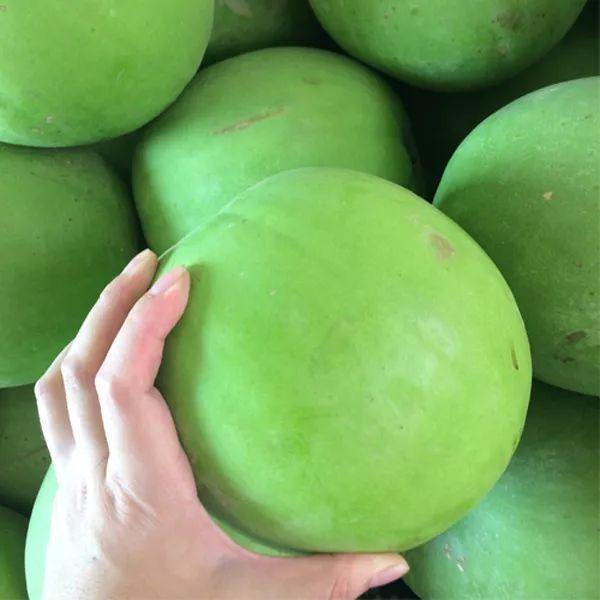 熱點 第301頁