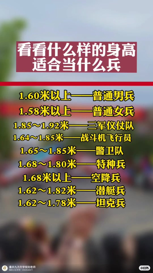 儀仗兵身高標(biāo)準(zhǔn)，探究與解析，儀仗兵身高標(biāo)準(zhǔn)，探究與詳解