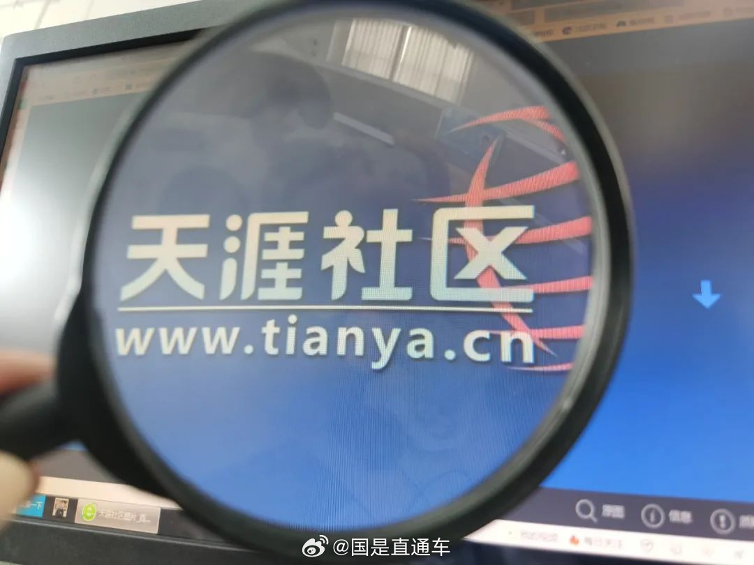 天涯國際觀察，全球視野下的深度分析與洞察，全球深度洞察，天涯國際觀察分析