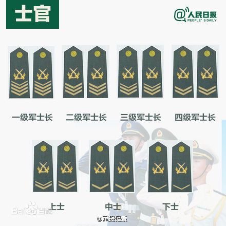 全球各國(guó)軍士長(zhǎng)軍銜對(duì)照表及其重要性，全球各國(guó)軍士長(zhǎng)軍銜對(duì)照表，揭示其重要性