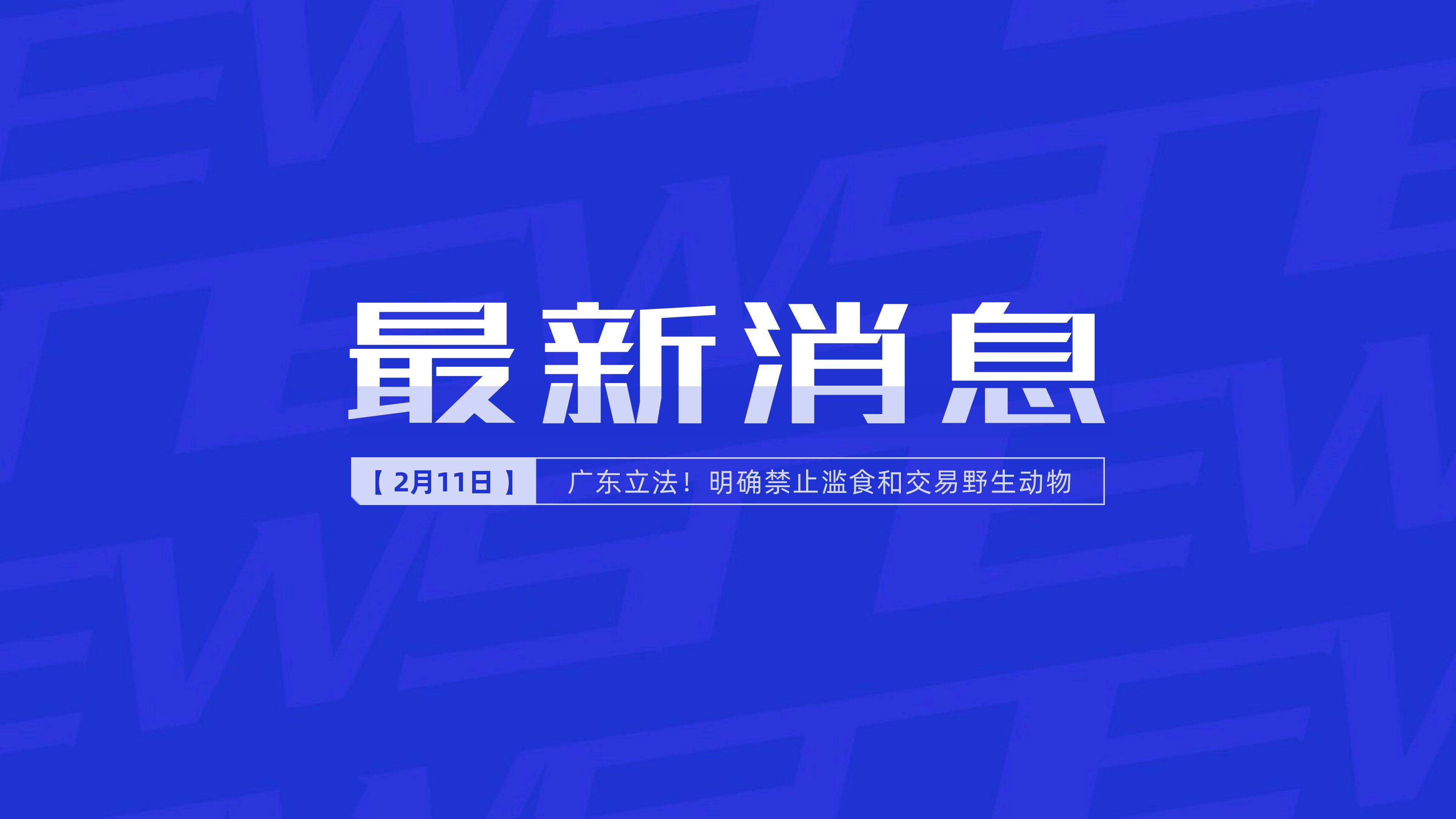新聞最新新聞，掌握時事熱點，洞悉世界動態(tài)，時事熱點速遞，掌握全球最新動態(tài)新聞