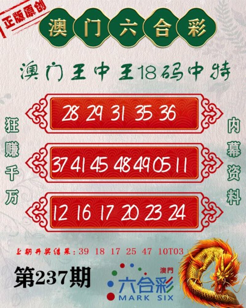 新澳門王中王期期中，探索與解析，新澳門王中王期期中，深度探索與解析