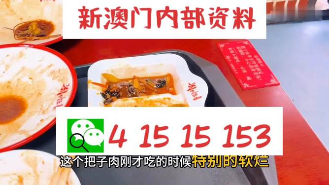 澳門王中王六碼新澳門，探索與解析，澳門王中王六碼新澳門，深度探索與解析