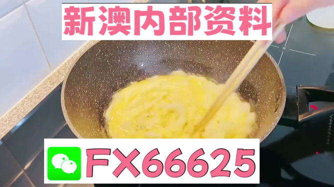 澳門九點(diǎn)半9點(diǎn)半網(wǎng)站——探索與體驗，澳門九點(diǎn)半網(wǎng)站，探索與體驗之旅