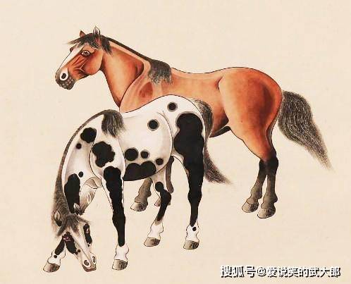 香港四不像一肖生肖圖，揭秘背后的神秘文化，香港四不像一肖生肖圖，神秘文化背后的揭秘