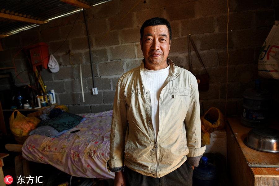 博科圣地組織，深度解析與理解，博科圣地組織深度解析與探究