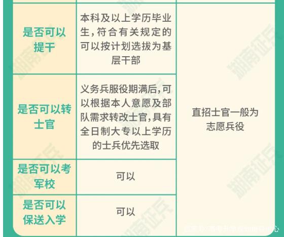 士官直招與義務(wù)兵的區(qū)別，深入了解軍隊招募制度，直招士官與義務(wù)兵招募制度深度解析，軍隊招募制度詳解