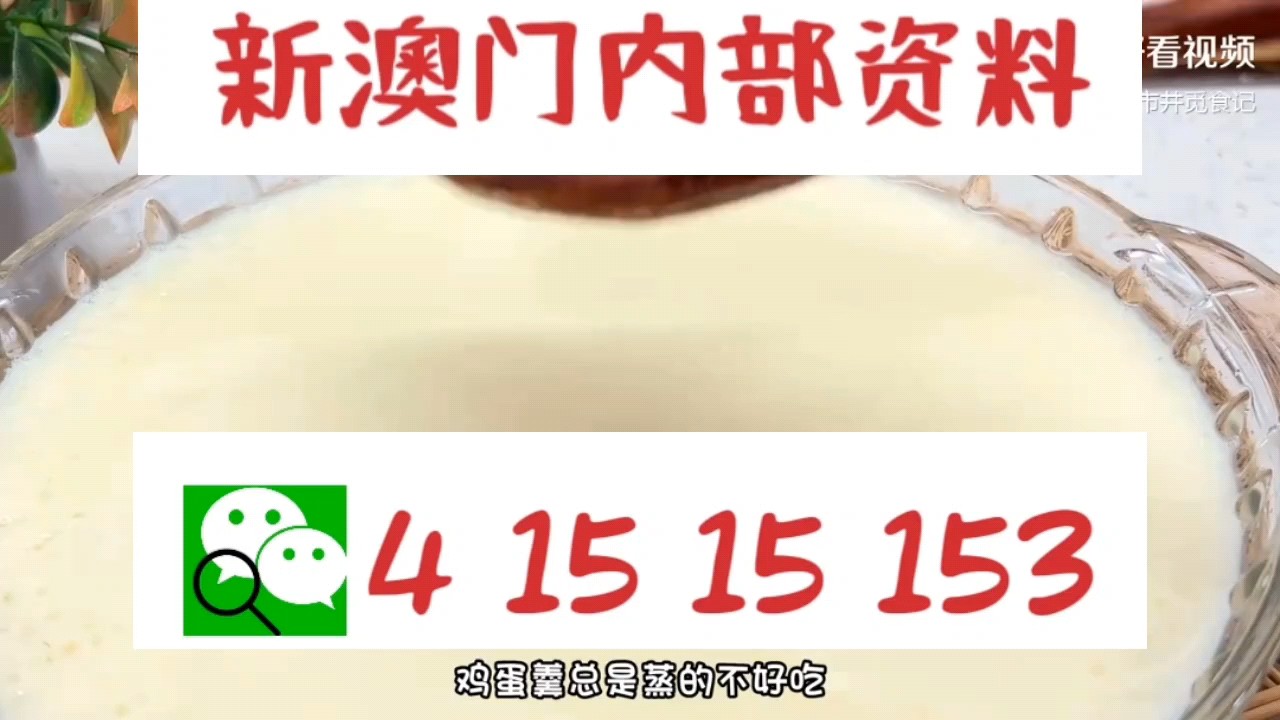 新澳門中特網(wǎng)中特馬，探索與解析，澳門中特馬探索與解析指南