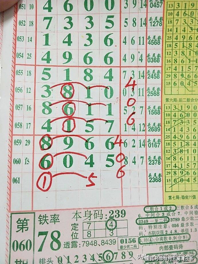 平特肖推算法，探索搜索引擎優(yōu)化的新境界，平特肖推算法，開啟搜索引擎優(yōu)化新境界的探索之旅