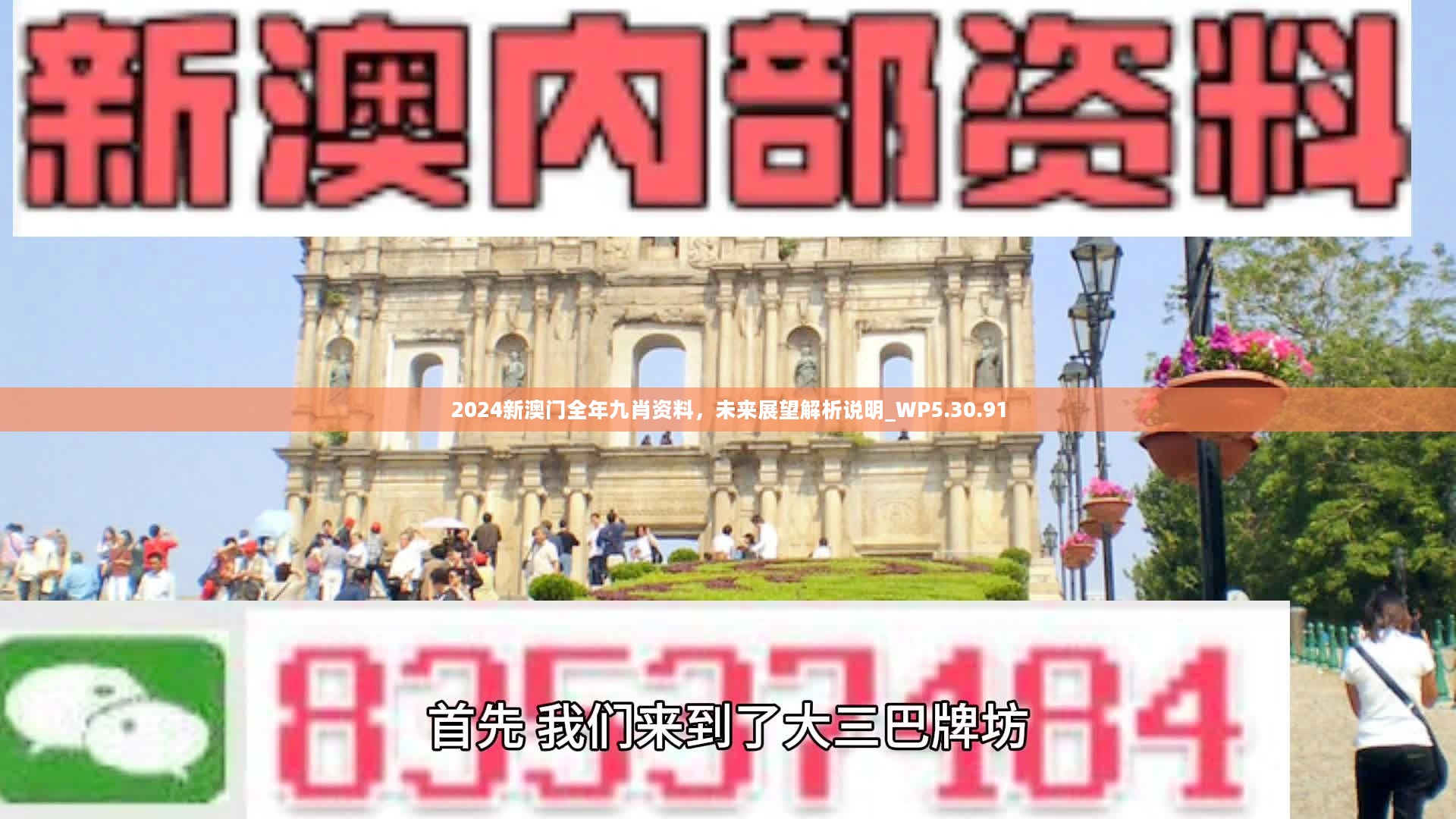 新澳門精準(zhǔn)九肖，揭秘預(yù)測技巧與策略，揭秘新澳門精準(zhǔn)九肖預(yù)測技巧與策略