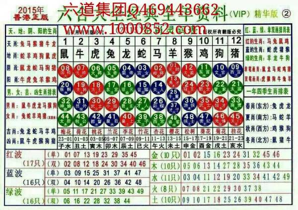 揭秘2024十二生肖49碼表——完整指南，揭秘十二生肖49碼表全攻略，2024年最新版指南