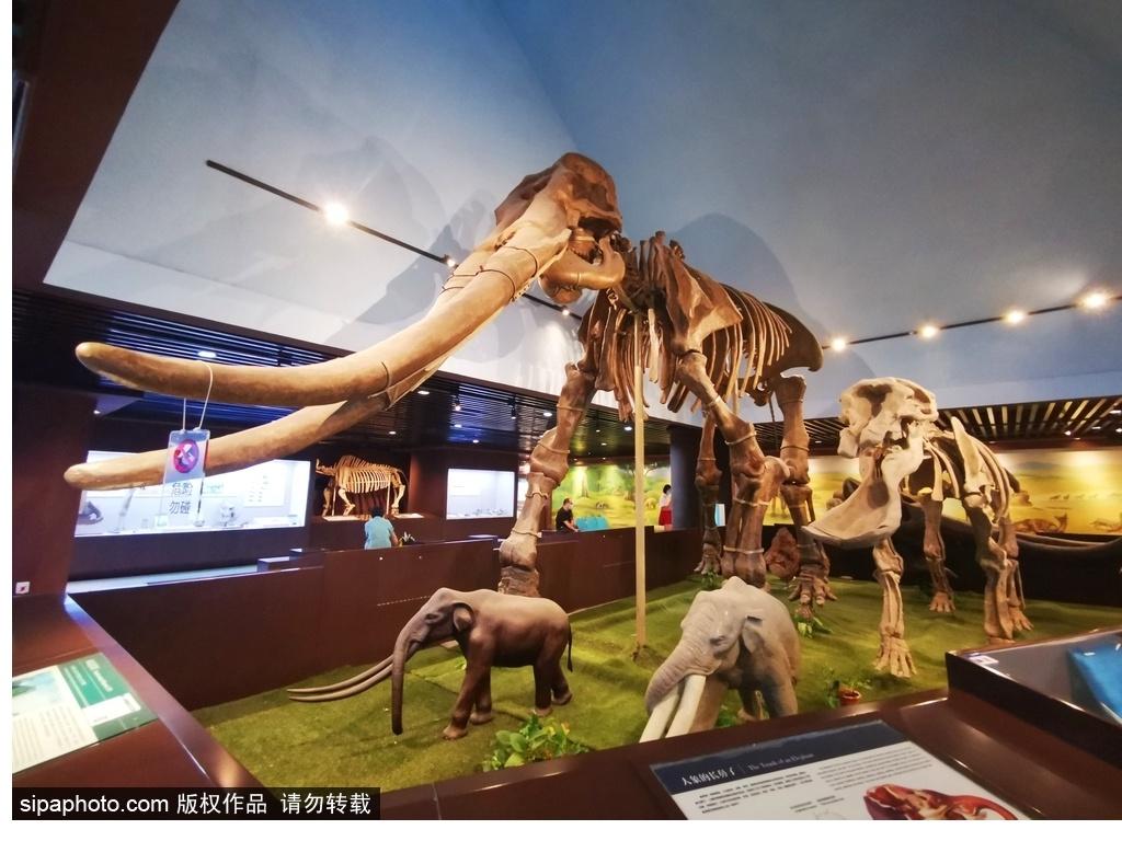 北京必去的十大博物館——探尋千年文化的精華之旅，北京必游十大博物館，千年文化精華之旅探尋記