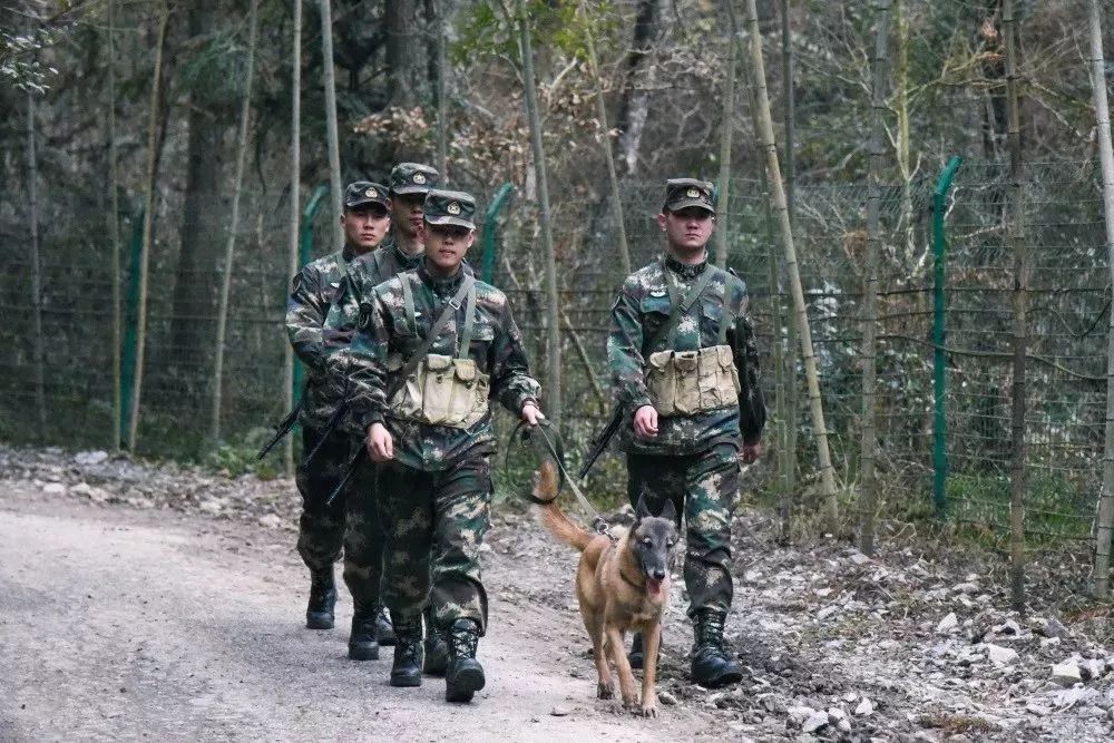 火箭軍是否都在大山之中？解析火箭軍的駐扎環(huán)境與任務特點，火箭軍的駐扎環(huán)境與任務特點解析，大山之中還是多元布局？