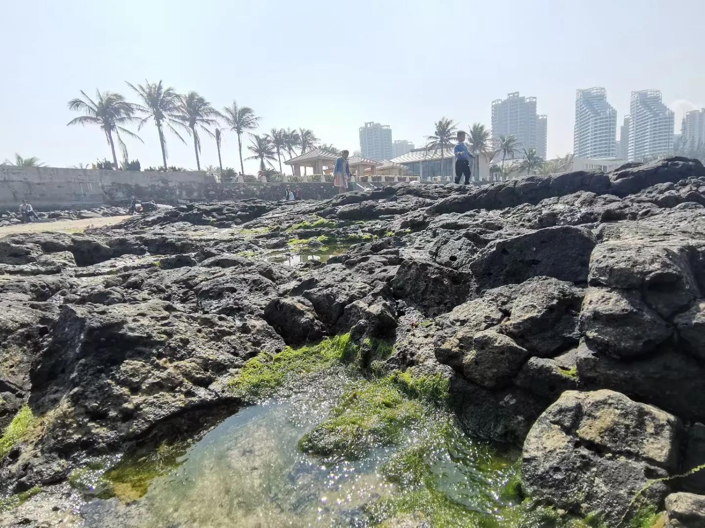 解放海南島電視劇全集下載，探尋30集完整劇情，解放海南島電視劇全集下載，探尋完整的30集劇情探索