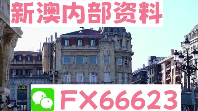 澳門六資料大全，深度探索與揭秘，澳門六資料大全，深度探索與揭秘之旅