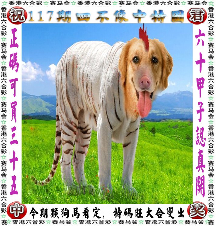 王中王四不像一肖論壇，探索神秘論壇的世界，王中王四不像一肖論壇，神秘論壇世界的探索之旅