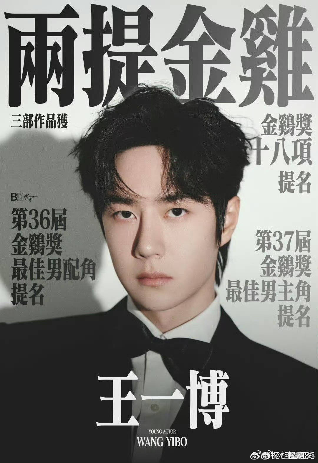 王中王一肖中特論特，深度解析與SEO洞察，深度解析王中王一肖中特論特與SEO洞察