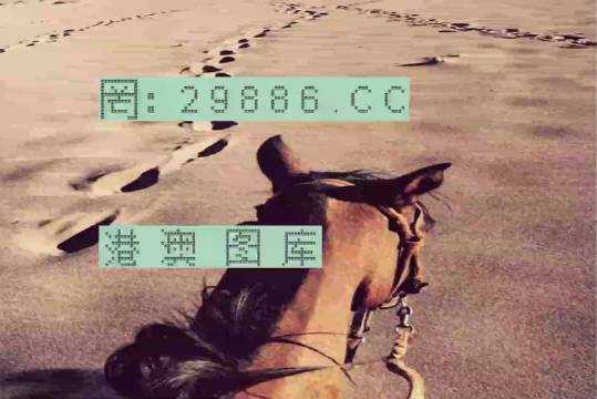 香港特馬資料王中王24期，深度解析與探索，香港特馬資料王中王深度解析與探索，第24期探索之旅