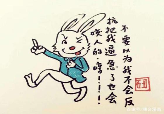 一肖不中賠多少倍，深度解析與策略建議，一肖不中賠倍深度解析及策略建議