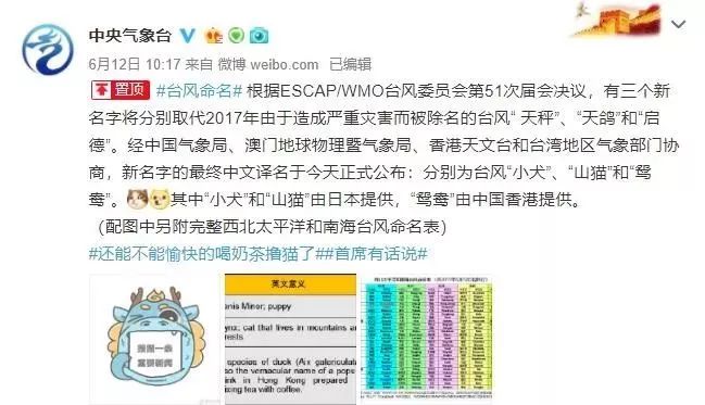 新澳門必中三肖三碼三期必開劉伯，揭秘彩票背后的秘密與策略，揭秘彩票背后的秘密與策略，劉伯的新澳門三期必開三肖三碼預(yù)測(cè)技巧